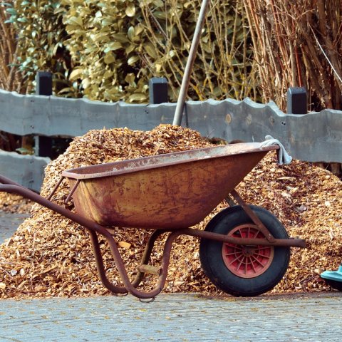 Zdjęcie: Mulczowanie ogrodu: kiedy, czym i jak grubą warstwą – instrukcja na 2026